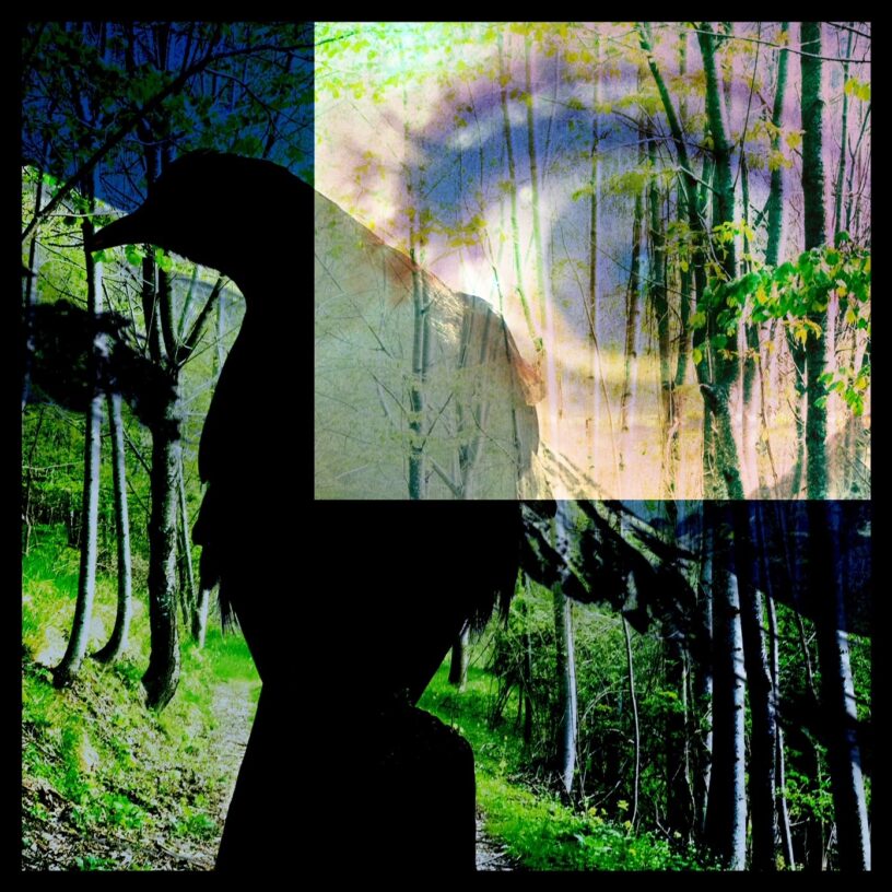 Alessandra Vinotto 3