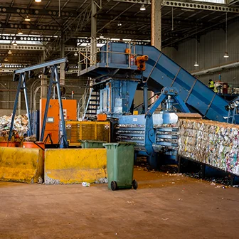 biomass south africa