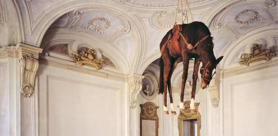 cattelan 1