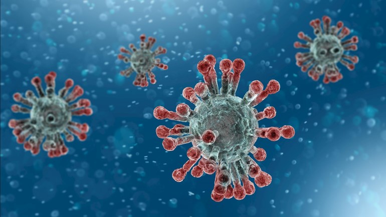 coronavirus