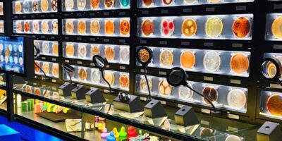 micropia artuis