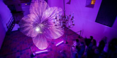 nieuwe stap brabantc